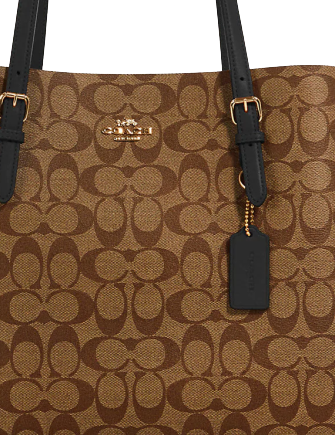 Coach Mollie Tote In Signature Canvas