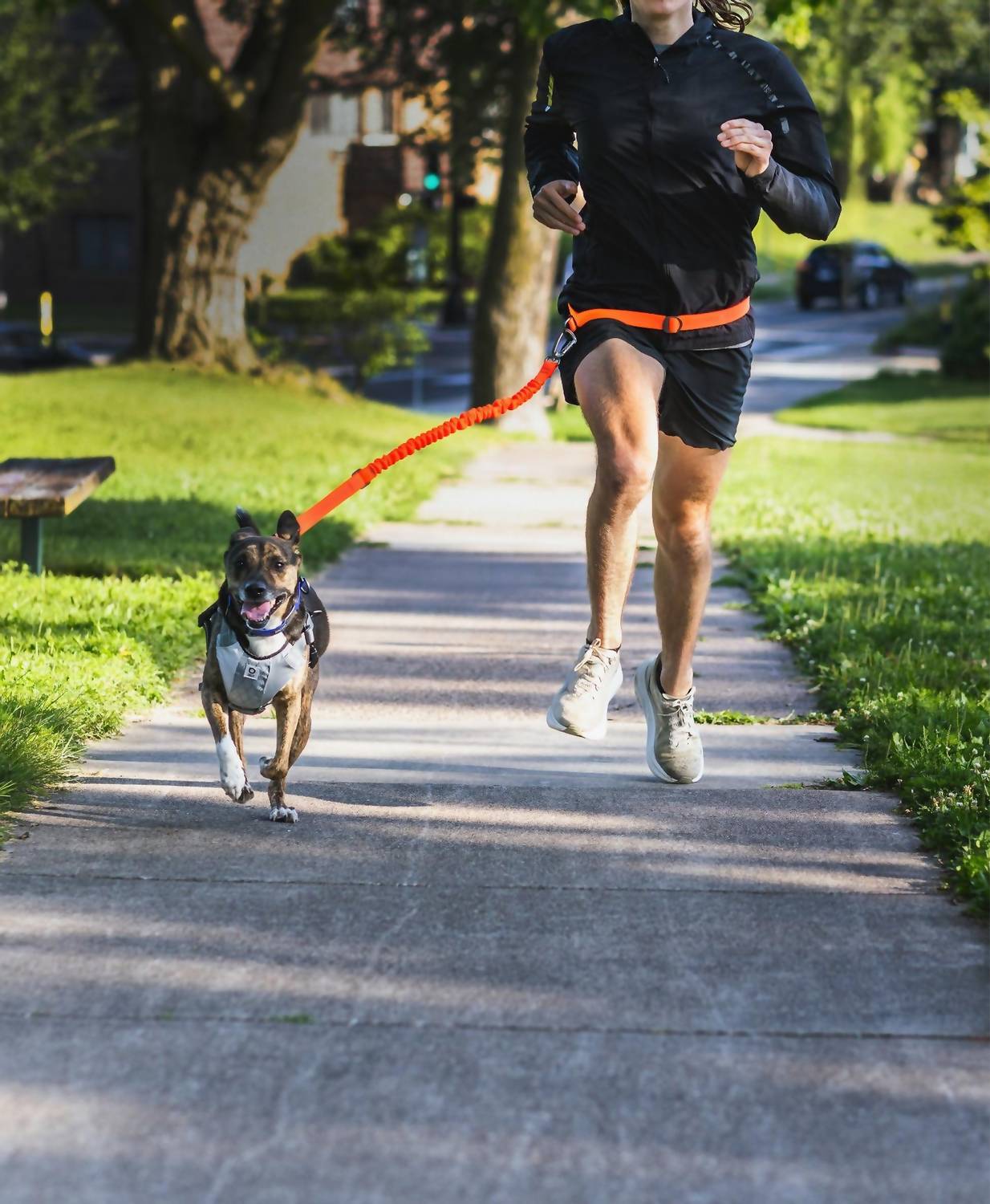 Stunt Runner Hands-Free Leash In Orange
