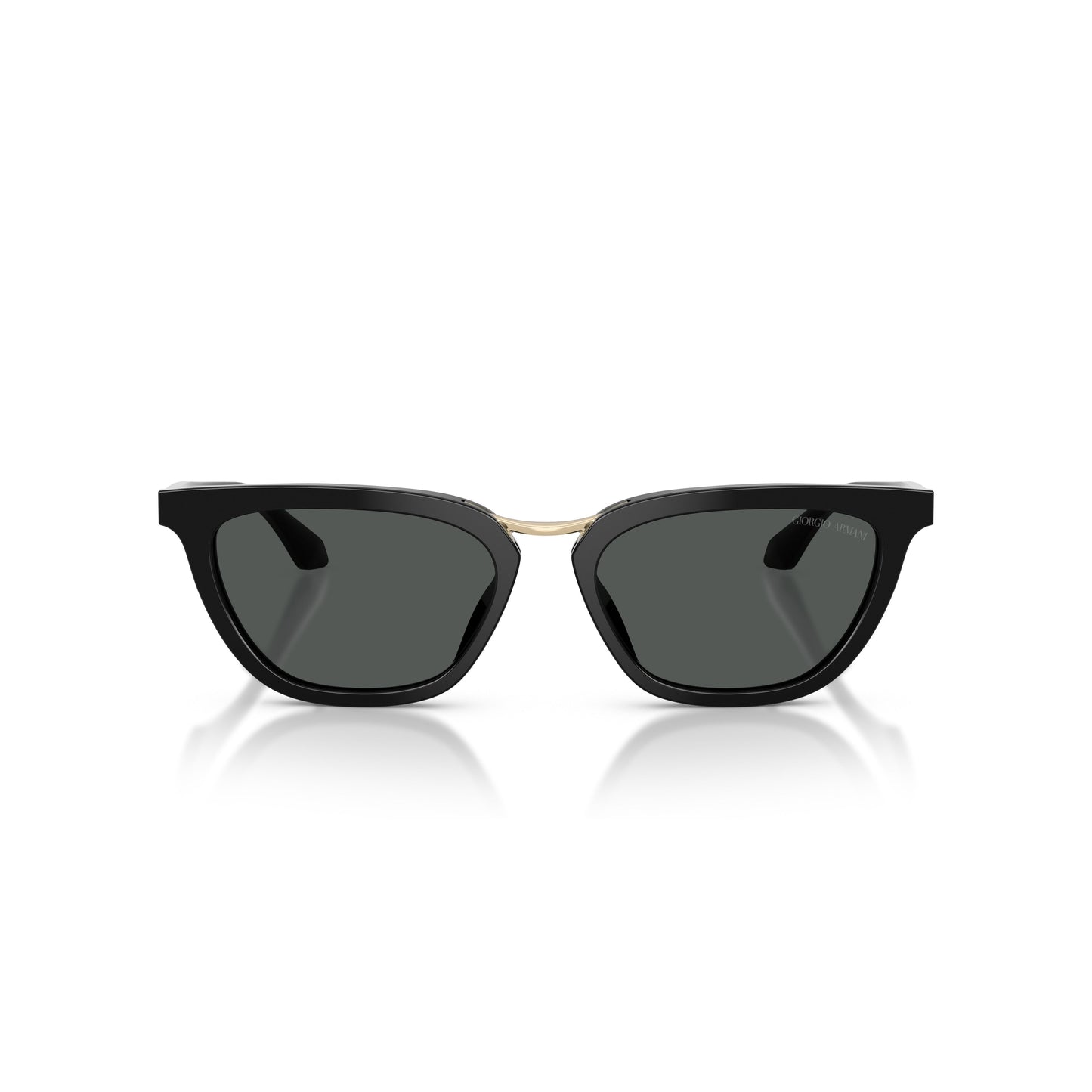 0Ar8253U Angular Acetate Sunglasses