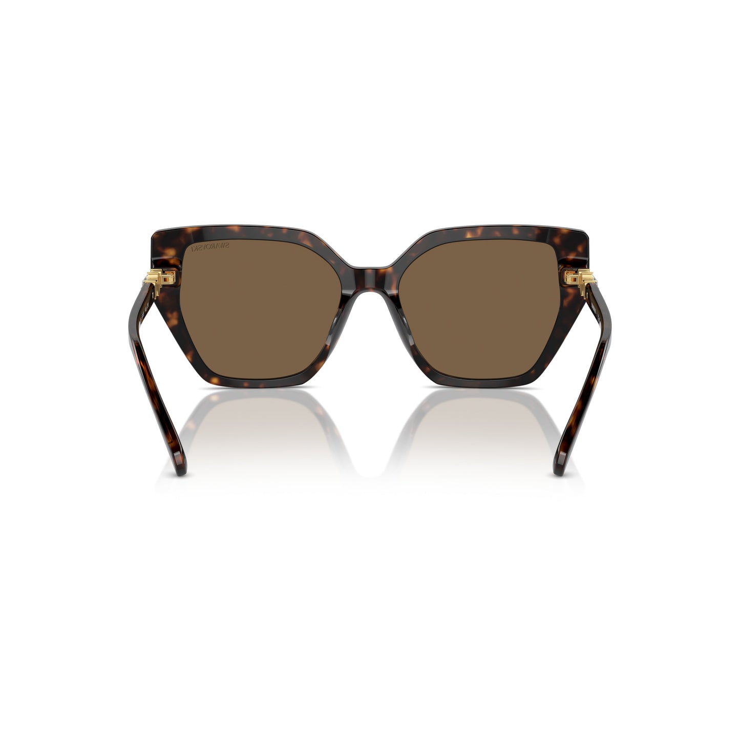0Sk6016 Oversized Cat-Eye Sunglasses with Tortoiseshell Acetate