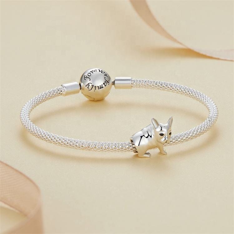 French Bulldog Charm